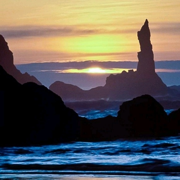 Meet your Posher, Sherry - Picture 1 of 1